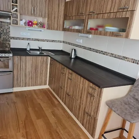 Comfortable Apartment! Apartment Prague