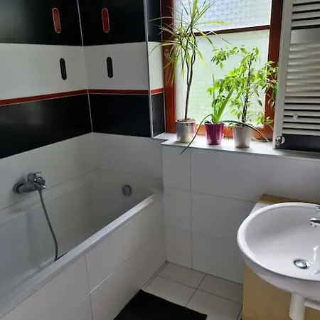 Comfortable Apartment! *